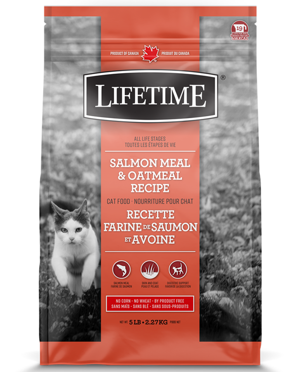 Lifetime for Cats - Salmon Oatmeal 6.5kg