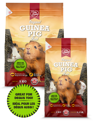 Martin Little Friends Guinea Pig Food - 2kg