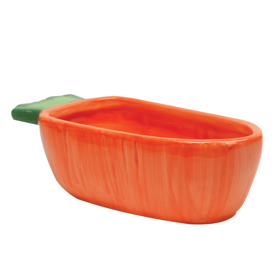 Kaytee Carrot Bowl