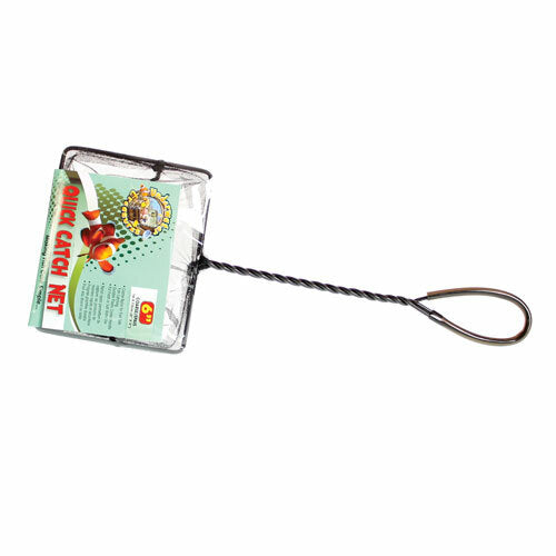 Underwater Treasures 6" Quick Catch Net