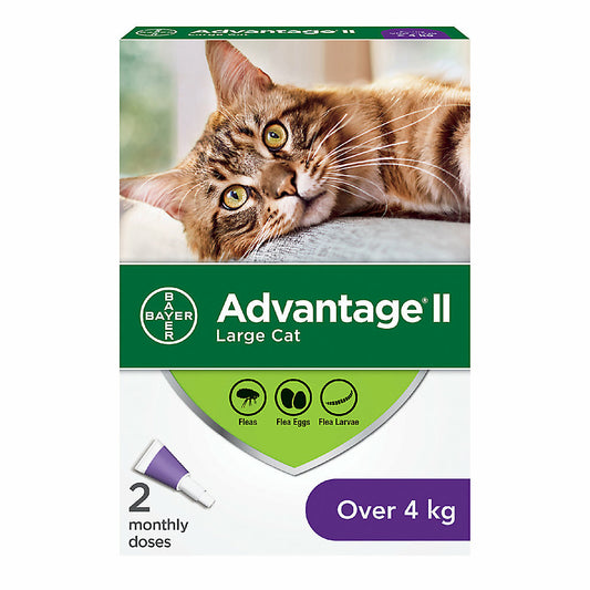 Advantage II For Cats Over 4kg - 2 Dose