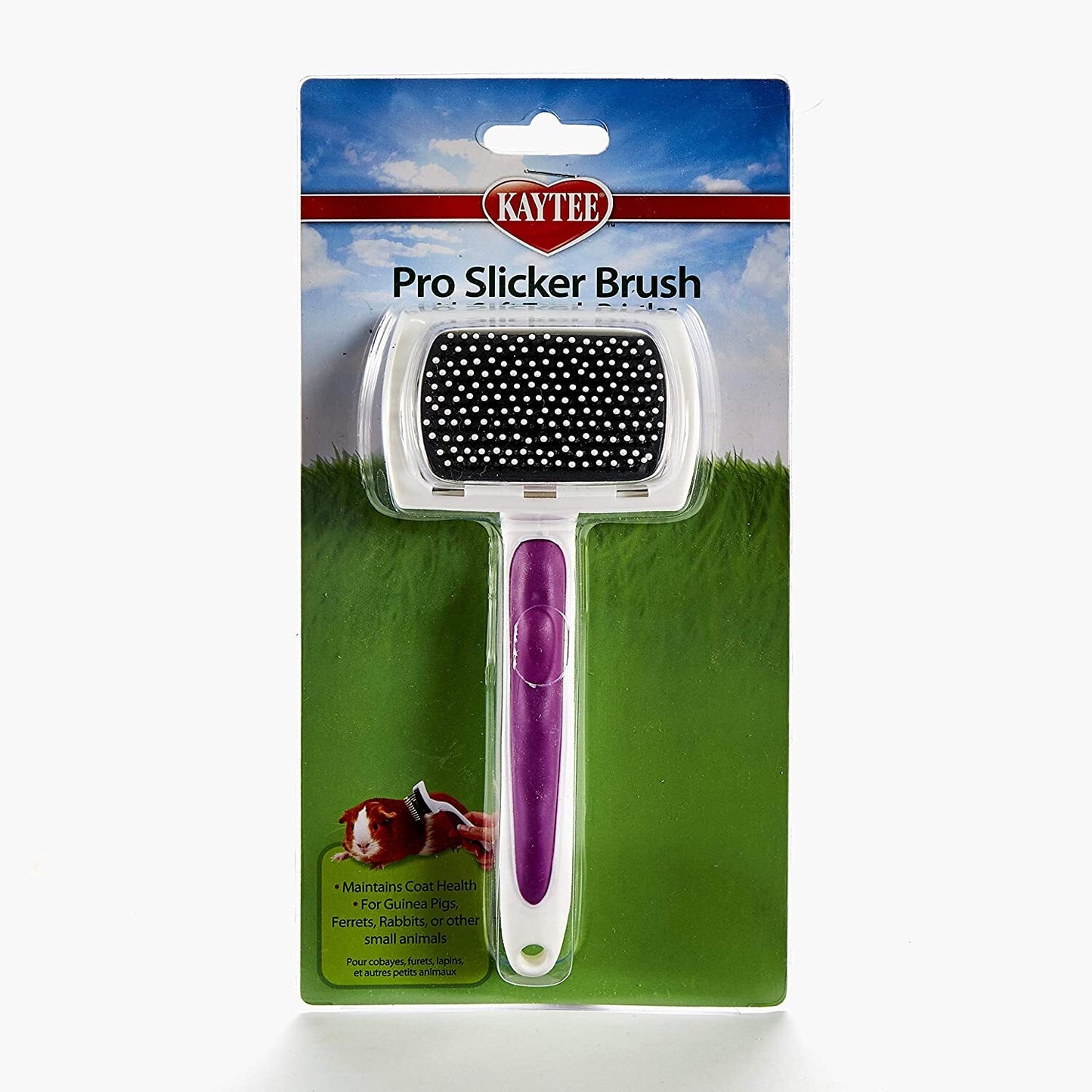 Kaytee Pro Slicker Brush