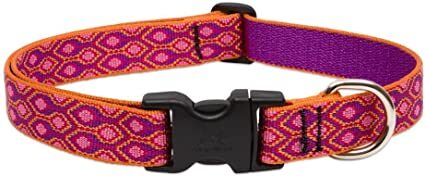 Lupine Cat Collar - Alpine Glow