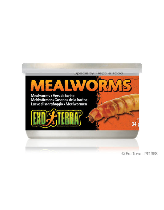 EXO TERRA CANNED MEALWORMS 34g