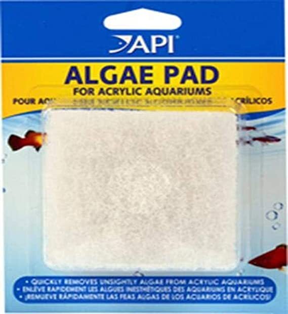 API Algae Scrub ACRYLIC