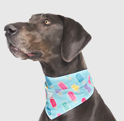 Canada Pooch Cooling Bandana - Large Popsicle