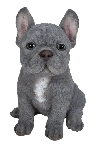 Pet Pals - BLUE FRENCH BULLDOG PUPPY