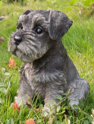 Pet Pals - SCHNAUZER PUPPY