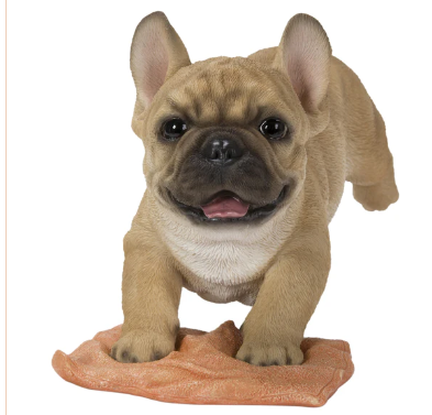 Pet Pals - French Bulldog Mopping