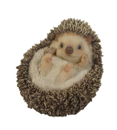 Pet Pals - HEDGEHOG ON BACK