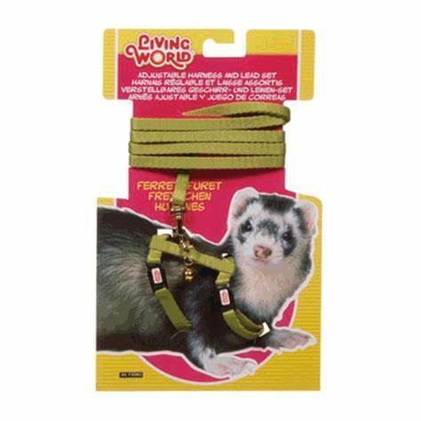 Living World Ferret Harness & Lead Set - Green