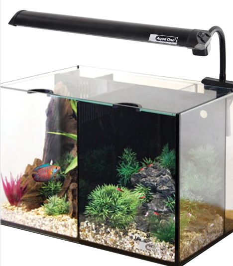 AquaOne Betta Duo - Aquarium