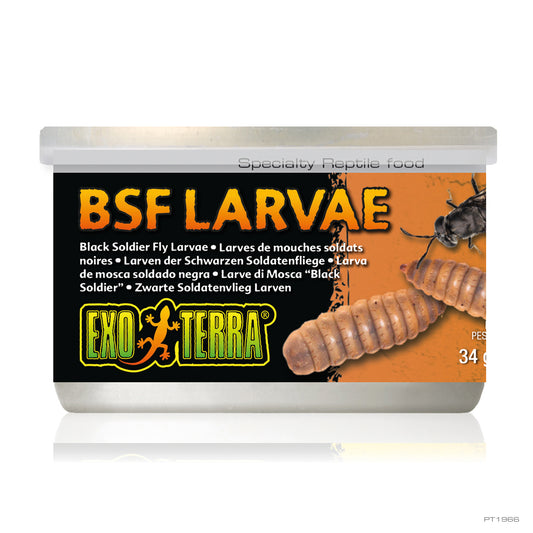 EXO TERRA CANNED BSF LARVAE 34g