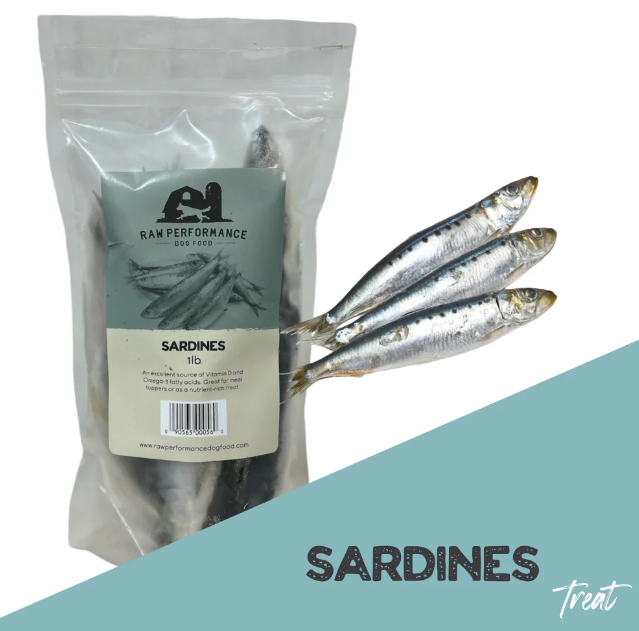 Raw Performance Sardines 1lb