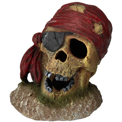 AQUA DELLA ORNAMENT - PIRATE SKULL